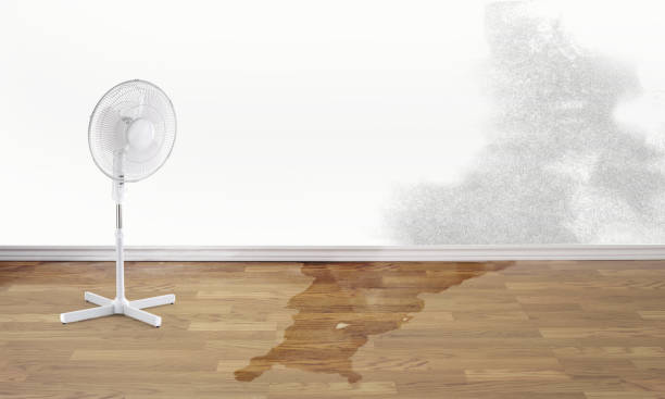 Best Carpet water damage restoration  in Yonkers, NY