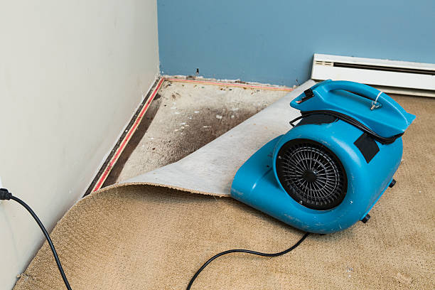 Best Fire Damage Restoration  in Yonkers, NY